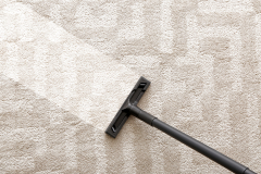 Rug maintenance and cleaning